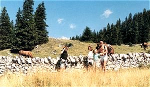 Randonnée dans 
les alpages du Massif du Jura